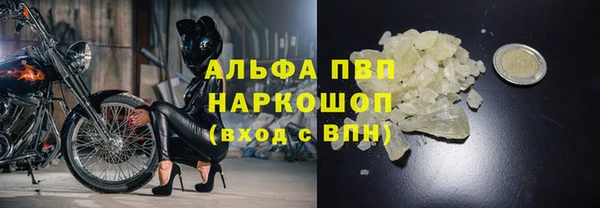 ГАЛЛЮЦИНОГЕННЫЕ ГРИБЫ Вяземский