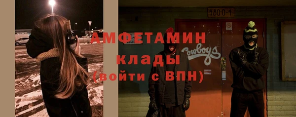 ГАЛЛЮЦИНОГЕННЫЕ ГРИБЫ Вяземский