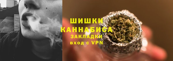 ГАЛЛЮЦИНОГЕННЫЕ ГРИБЫ Вяземский
