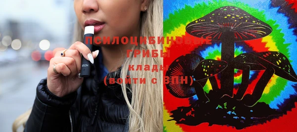 ГАЛЛЮЦИНОГЕННЫЕ ГРИБЫ Вяземский